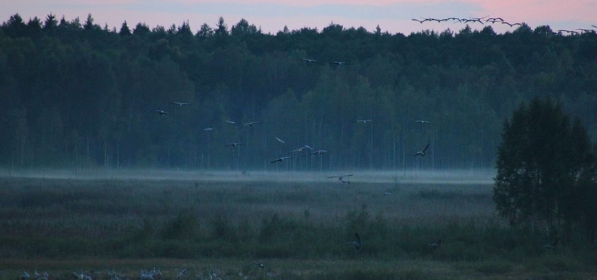 In art photographs - Novaraistis in all seasons