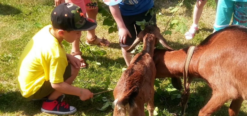 Ką veikti su vaikais Šakiuose? Atradimų kraštas, kur susitinka tradicijos ir nuotykiai
