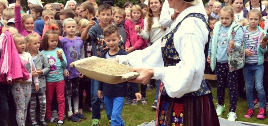 The bread path from the grain to the table