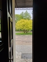 20260509_102445.jpg