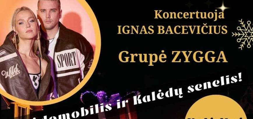 Kalėdinės eglutės įžiebimo šventė Gelgaudiškyje