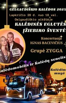 Kalėdinės eglutės įžiebimo šventė Gelgaudiškyje
