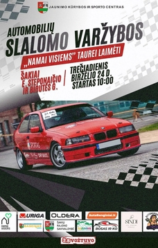 Automobilių slalomo varžybos