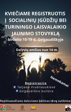 Socialinių įgūdžių bei turiningo laisvalaikio jaunimo stovykla