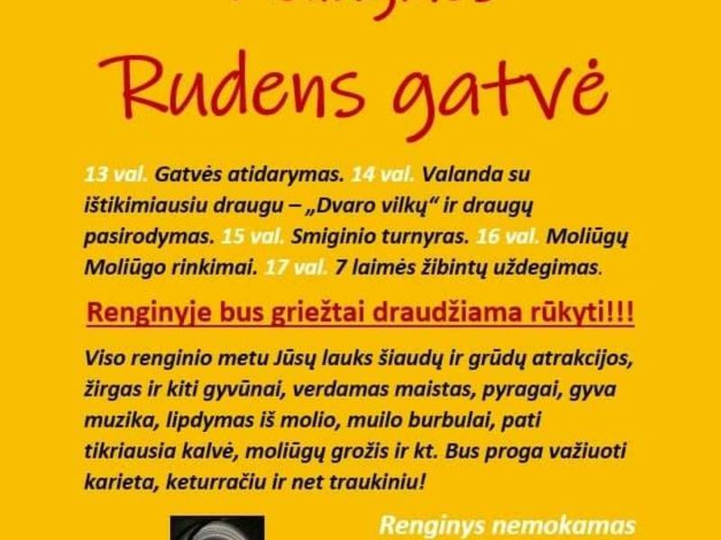 Moliūginės. Rudens gatvė.