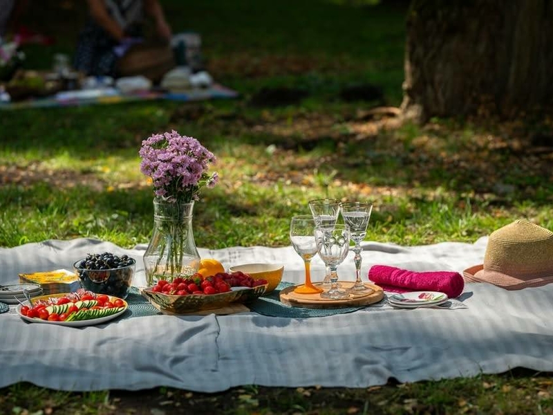 PAŽAISLIO MUZIKOS FESTIVALIS. Žemosios Panemunės dvaras.
