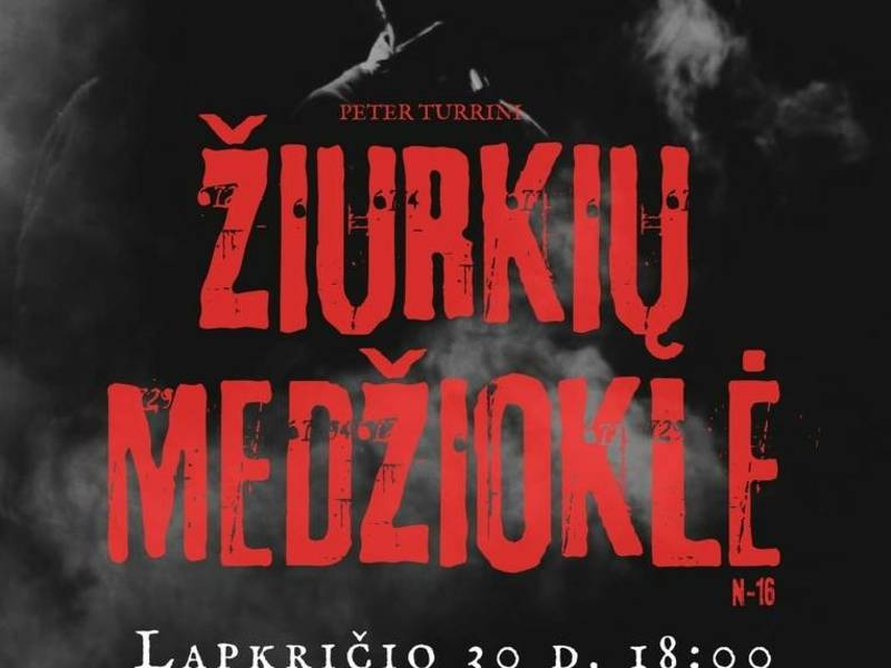 Spektaklis „Žiurkių medžioklė”