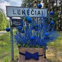 Mėlynių festivalis Lekėčiuose