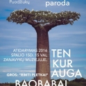 Fotografijų paroda „Ten kur auga baobabai“