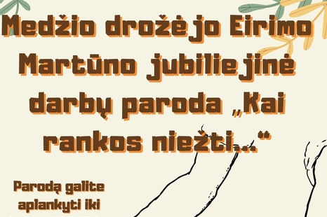 Eirimo Martūno jubiliejinė darbų paroda "Kai rankos niežti"