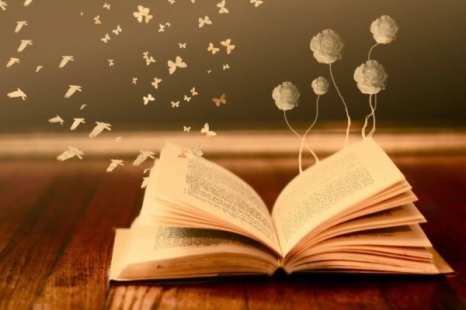 Образовательная программа «Книга превращается в игрушку мечты»