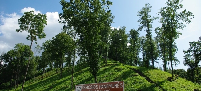 Žemosios Panemunės piliakalnis