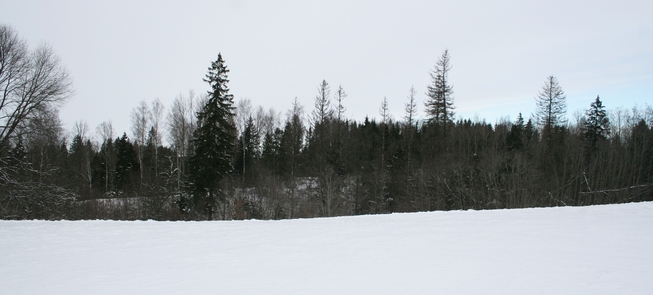 Plokščių piliakalnis