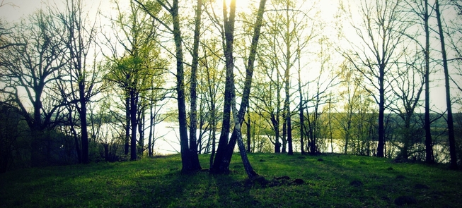 Kukarskės piliakalnis